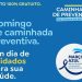 Feira: caminhada de prevenção do câncer de intestino acontece neste domingo na avenida Noide Cerqueira