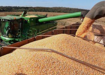 Estiagem e excesso de chuvas podem afetar qualidade da soja e atrasar o plantio do milho, alerta Conab