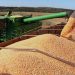 Estiagem e excesso de chuvas podem afetar qualidade da soja e atrasar o plantio do milho, alerta Conab