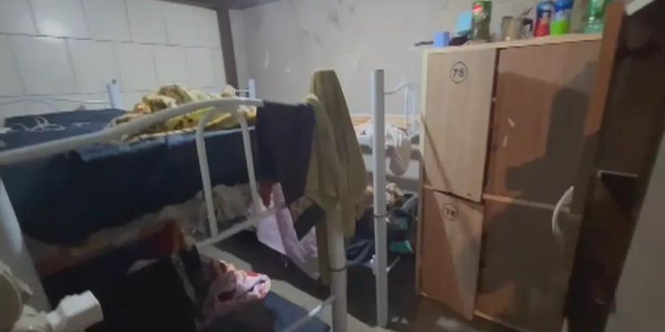 Salton, Aurora e Garibaldi pagarão R$ 7 milhões em indenização após resgate de trabalhadores em situação análoga à escravidão