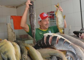 Feira: comerciantes esperam boas vendas para a Semana Santa