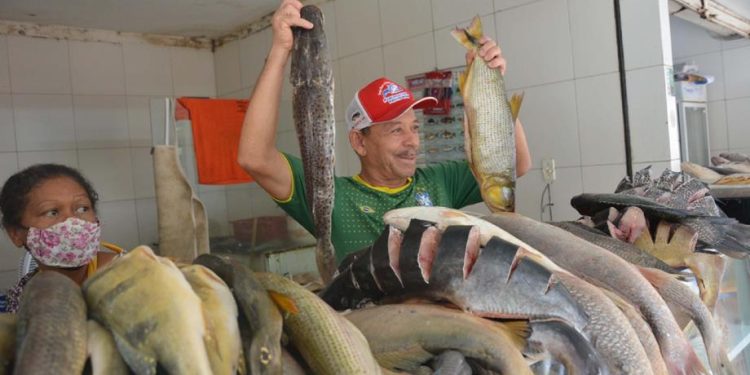 Feira: comerciantes esperam boas vendas para a Semana Santa
