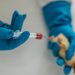 Sobe para 13 o número de casos de gripe aviária no Brasil
