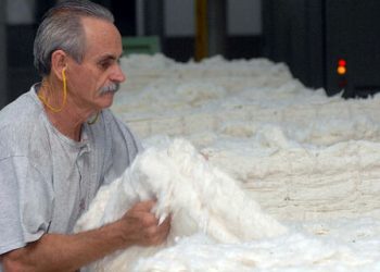 Número de trabalhadores com mais de 50 anos no Brasil dobra entre 2006 e 2021