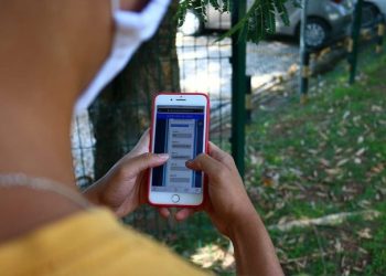 Consulta a débitos do IPVA inscritos na dívida ativa está disponível no Whatsapp do SAC Digital