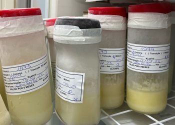 Dia Mundial da Doação de Leite Humano: Um gesto solidário que nutre vidas