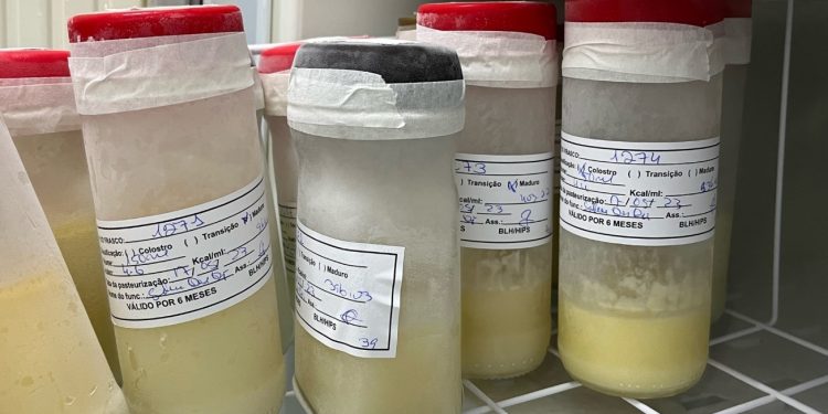 Dia Mundial da Doação de Leite Humano: Um gesto solidário que nutre vidas