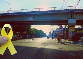 Maio Amarelo: profissionais participam de capacitação sobre leis e normas de trânsito