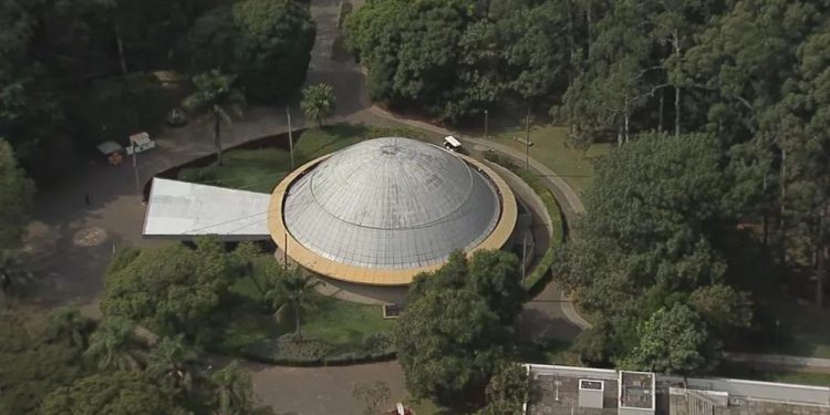 Público diz adeus a Rita Lee no planetário do Ibirapuera em São Paulo