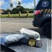 Casal é preso na praça de pedágio de Simões Filho transportando cocaína e insumos para drogas