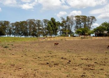 El Niño é anunciado no Brasil e pode durar até 2 anos