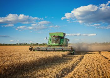 Agropecuária quase dobrou participação no PIB em dez anos