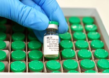 Vacina contra esquistossomose estará disponível no SUS em 2025