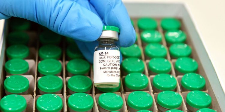 Vacina contra esquistossomose estará disponível no SUS em 2025