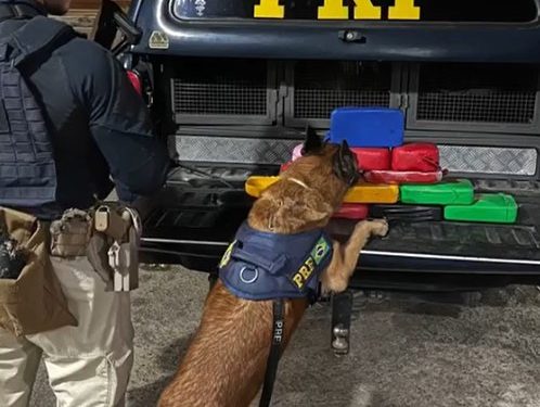 PRF realiza apreensão de mais de 15 Kg de cocaína em Feira de Santana