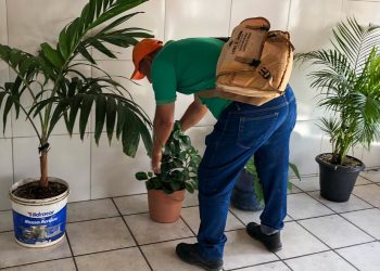 Agentes de endemias realizaram mais de 700 mil contatos no primeiro semestre