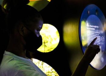 Apenas uma em quatro pessoas com deficiência conclui o ensino básico