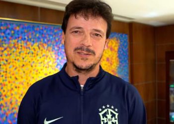 Diniz será o novo técnico interino da seleção brasileira de futebol