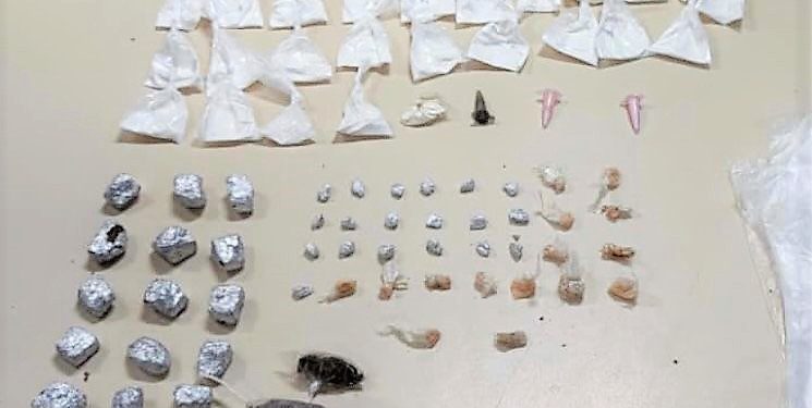 Polícia Militar realiza apreensão de drogas no distrito de Humildes