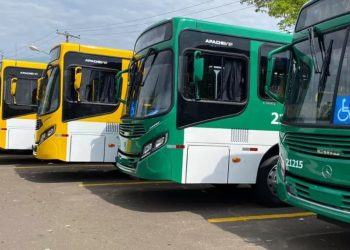 Rodoviários da Região Metropolitana de Salvador iniciam greve nesta segunda-feira