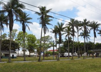 Publicado regulamento da Expofeira 2023
