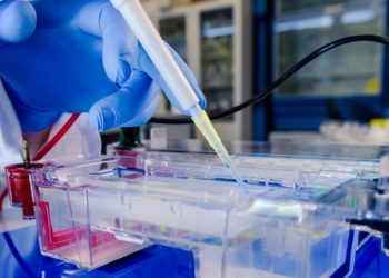 Patentes: “INPI é pequeno para o Brasil”, diz presidente interino do instituto