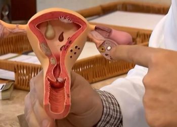 Julho Verde-Escuro conscientiza sobre prevenção ao câncer ginecológico