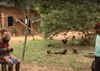 IBGE: dados sobre quilombolas no Censo 2022 são reparação histórica