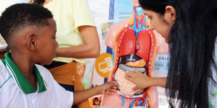 Ações desenvolvidas nas escolas municipais serão levados para mutirão na Cidade Nova