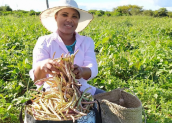 Garantia Safra: agricultores familiares já podem fazer inscrição