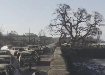 Incêndio florestal no Havaí é o mais mortal dos EUA em mais de um século