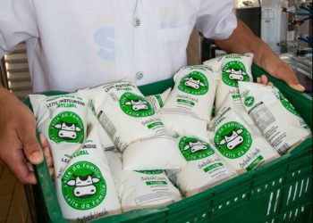 Investimento em agroindústrias é aposta para o desenvolvimento econômico a partir do rural baiano