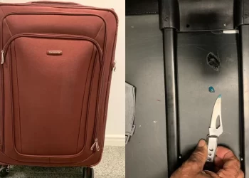 Mulher é presa com mais de 3kg de cocaína no Aeroporto de Salvador