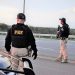 PRF apreende caminhão que transportava carga viva irregularmente em Feira de Santana
