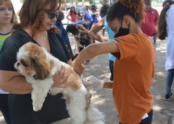Após caso confirmado em Feira, especialista reforça alerta para vacinação contra a raiva