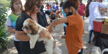 Após caso confirmado em Feira, especialista reforça alerta para vacinação contra a raiva