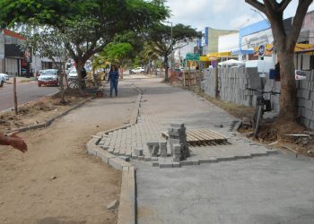 Árvores serão manejadas no canteiro da avenida Fraga Maia