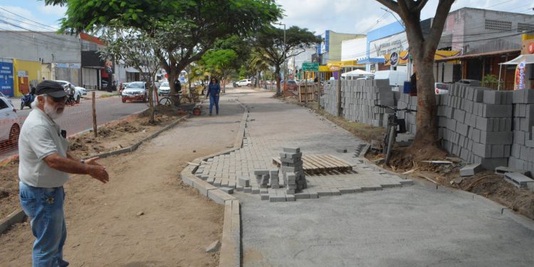 Árvores serão manejadas no canteiro da avenida Fraga Maia