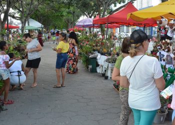 Número expressivo de expositores marca presença na feira de artes e antiguidades