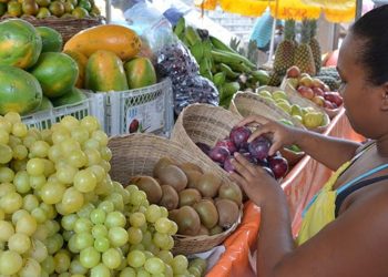 Decreto regulamenta funcionamento das feiras livres e centrais de abastecimento