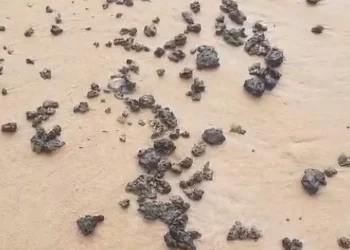 Manchas de óleo são encontradas em praias de Salvador
