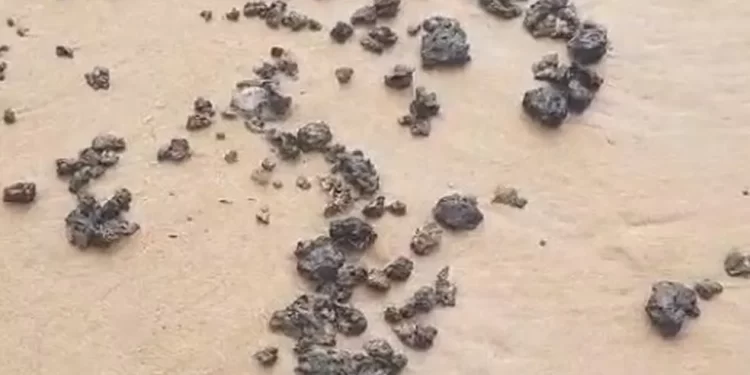 Manchas de óleo são encontradas em praias de Salvador