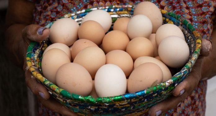Bahia bate recorde na produção de ovos