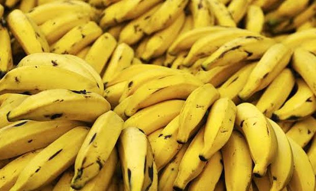 Bahia é segundo no ranking de produção de banana no país