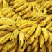 Bahia é segundo no ranking de produção de banana no país