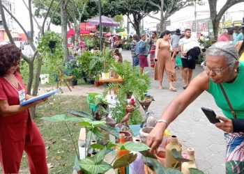 Arte e cultura movimentam a Getúlio Vargas neste domingo (22)