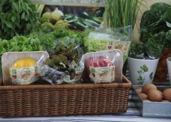 Preços dos alimentos podem continuar em queda nos próximos meses