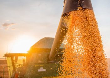 Safra baiana 2023 tem avanço estimado em 6,9% na comparação com 2022