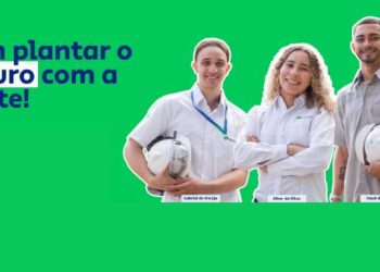 Empresa produtora de celulose oferece vagas de estágio técnico na Bahia; veja como se candidatar