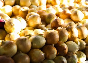 Preço das hortaliças cai nos principais mercados atacadistas